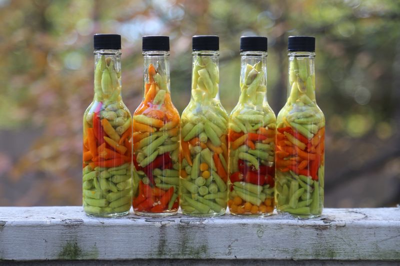 Pickled jalapeños and house pickles side at Hangry Joe's
